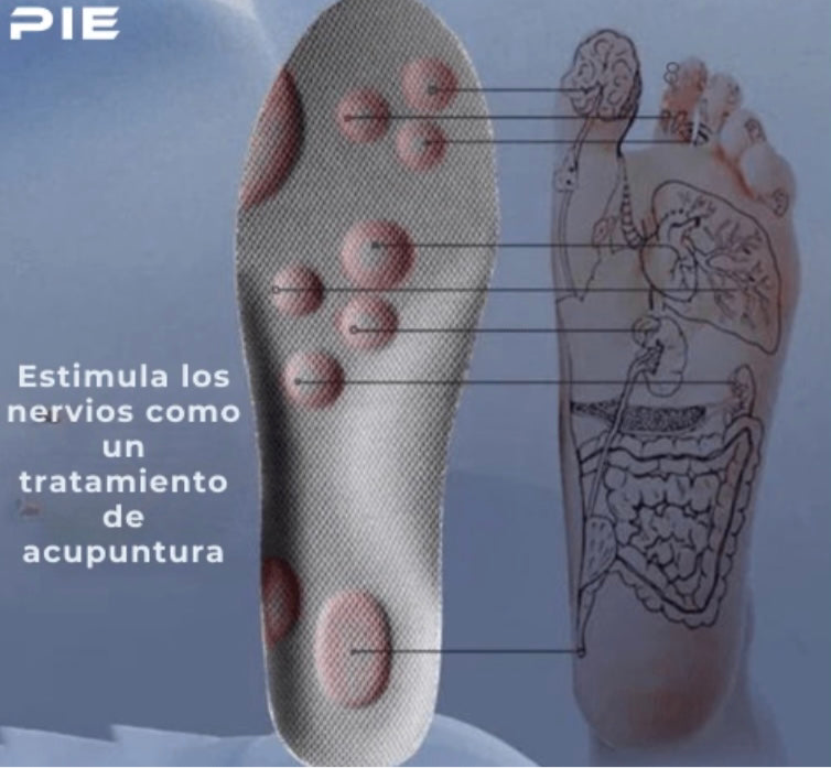 “¿Sufres fascitis plantar o dolor en los talones? Prueba las plantillas ortopédicas que usan enfermeros y repartidores para terminar su día sin dolor.”